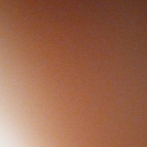 Meet your Posher, bitches